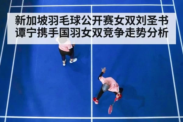 新加坡羽毛球公开赛女双刘圣书谭宁携手国羽女双竞争走势分析